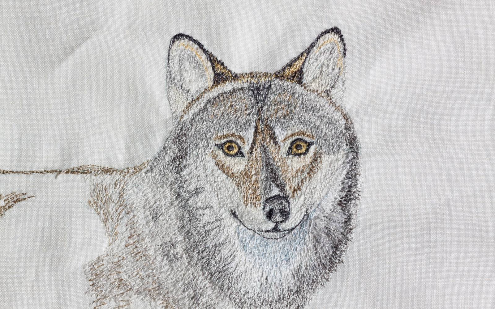 Close up of an embroidered wolf portrait stitched in grey, brown and gold thread on white fabric