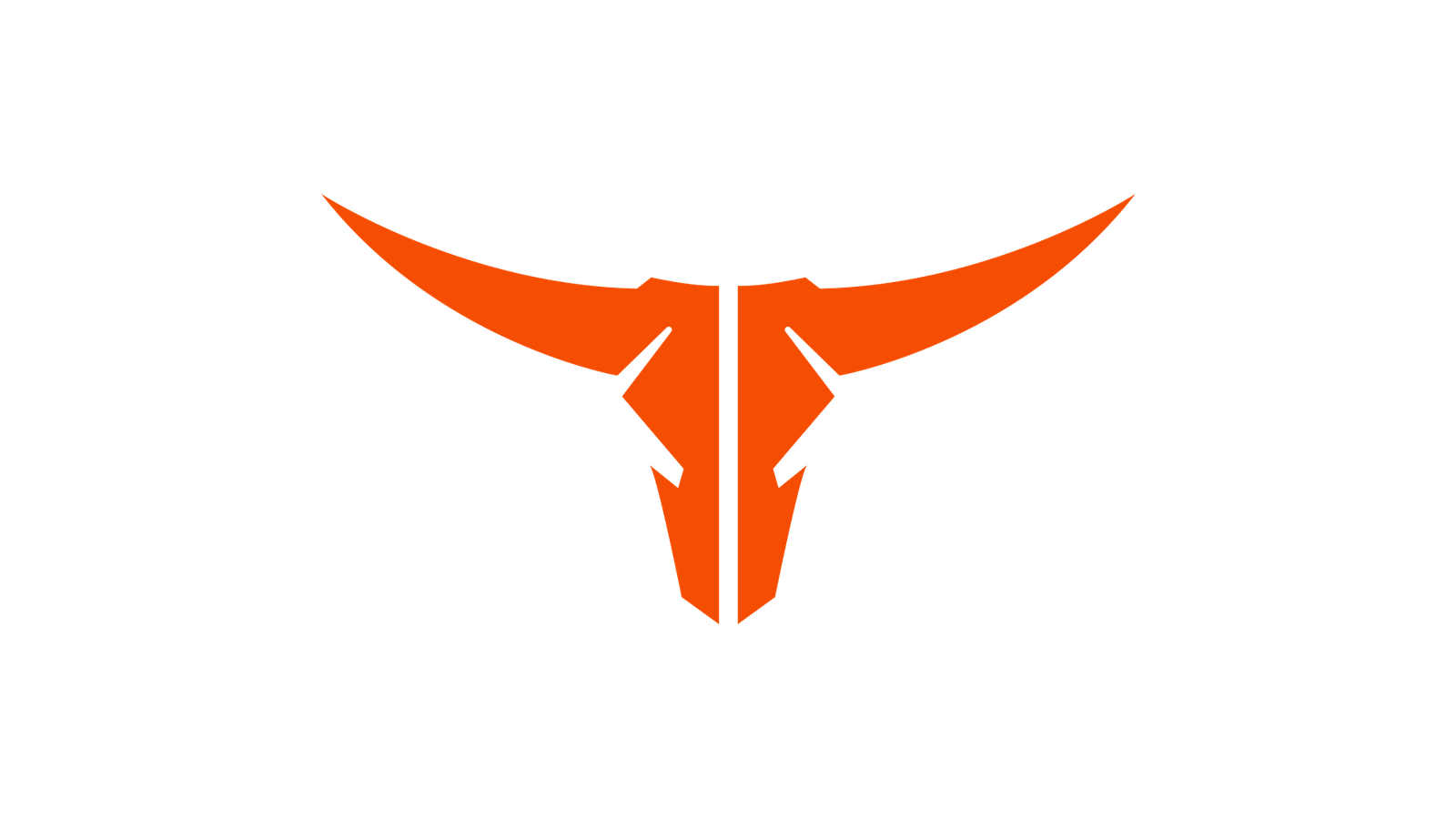Longhorn Roofing